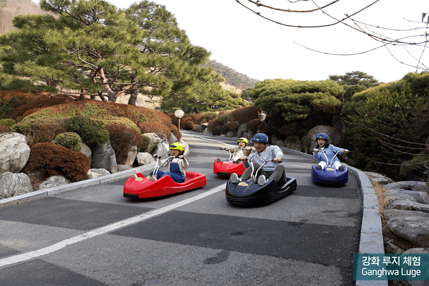 강화 루지 체험 Ganghwa Luge