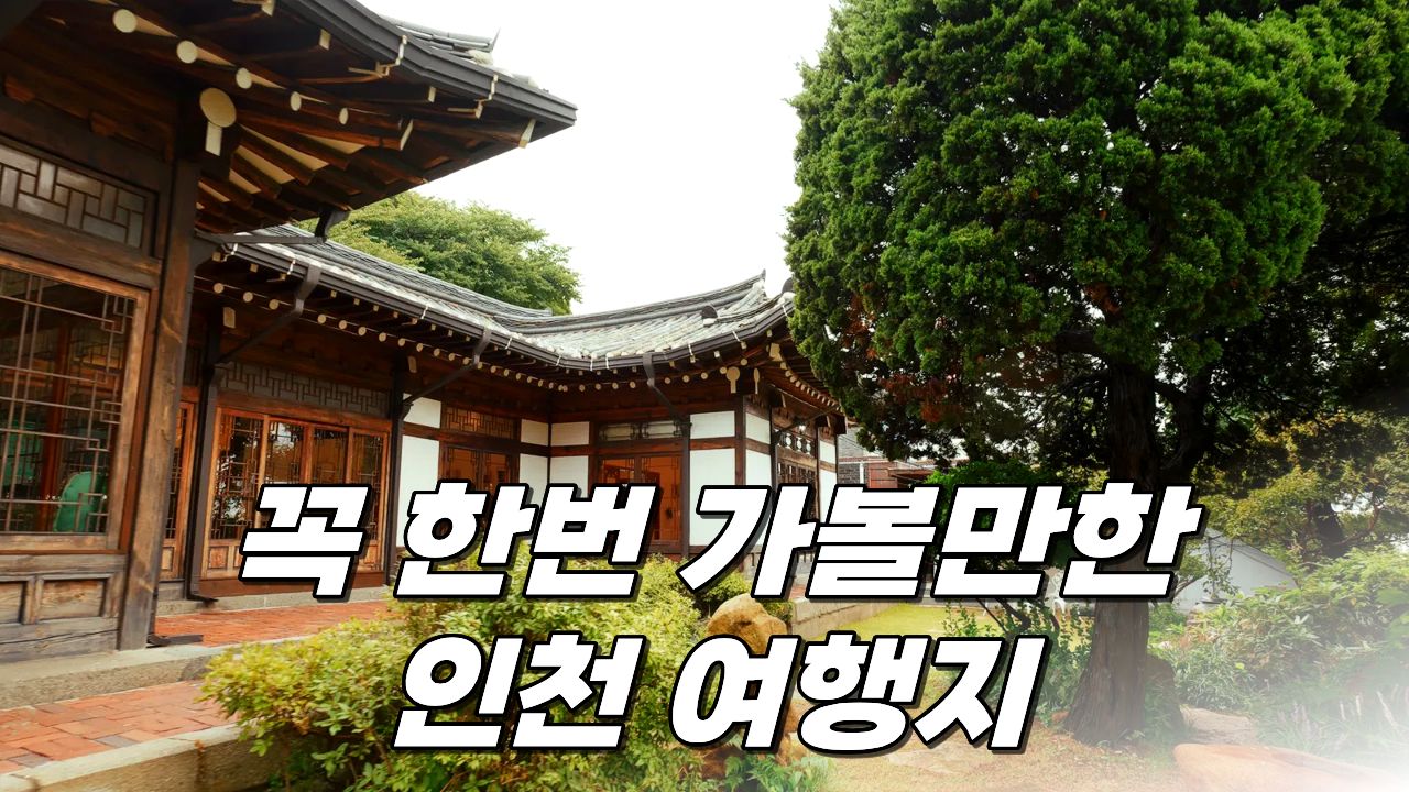 중구 역사 전통 영상 썸네일